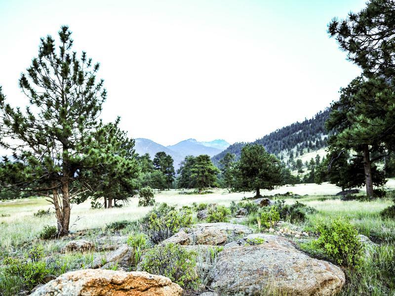 The Historic Crag'S Lodge Estes Park Buitenkant foto